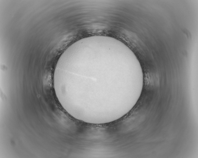 X0000091200820200708091305