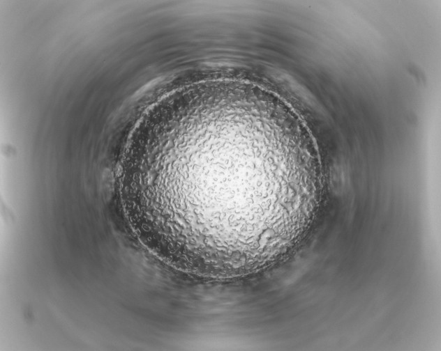 X0000091200821200708091305
