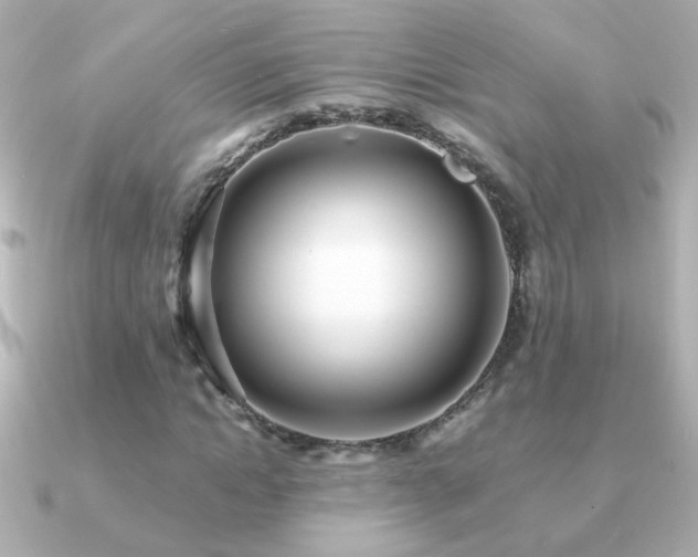 X0000091200822200708091305