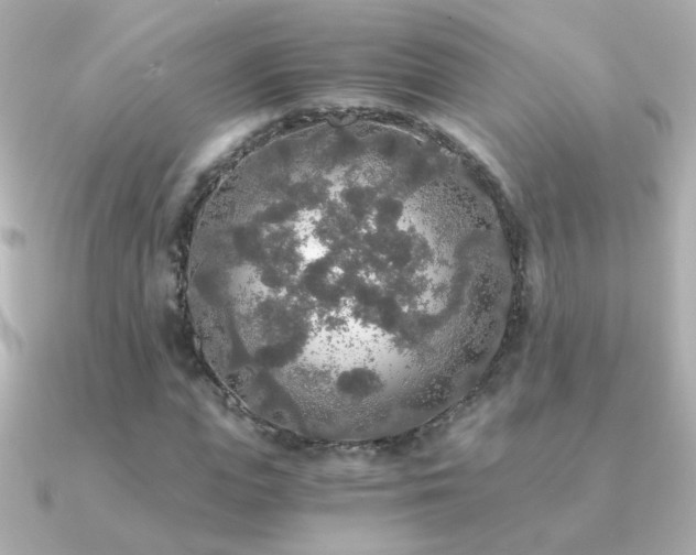 X0000091200823200708091305