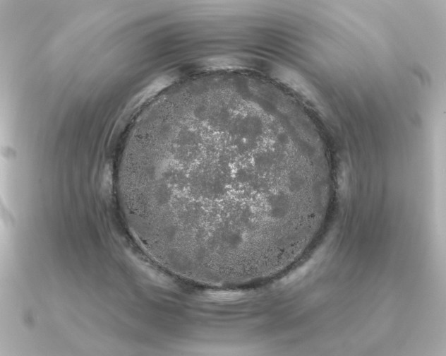 X0000091200825200708091305