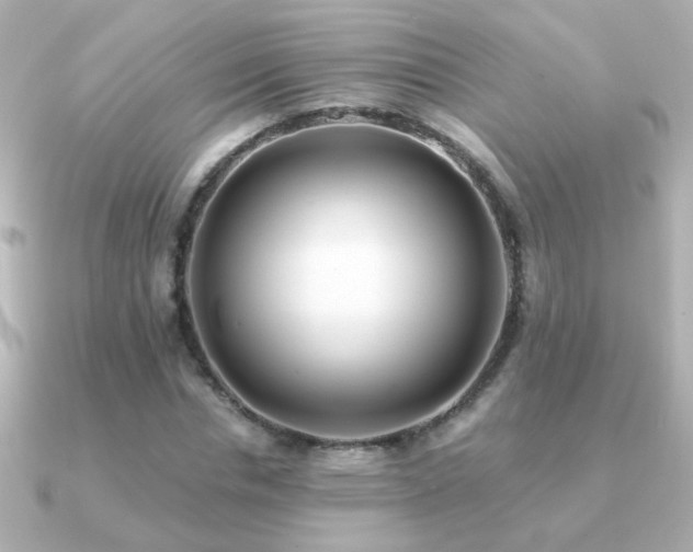 X0000091200826200708091305