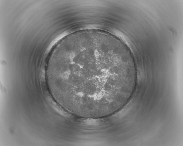 X0000091200827200708091305