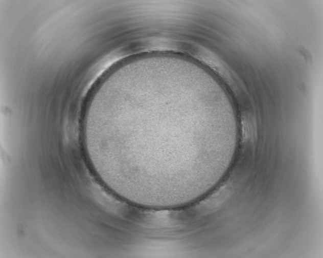 X0000091200828200708091305