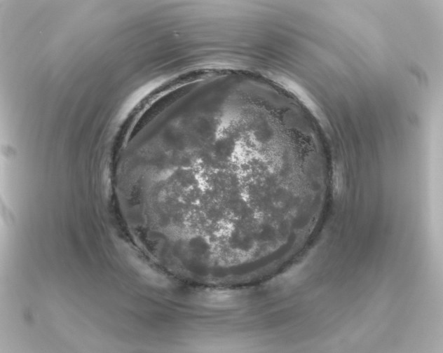 X0000091200829200708091305