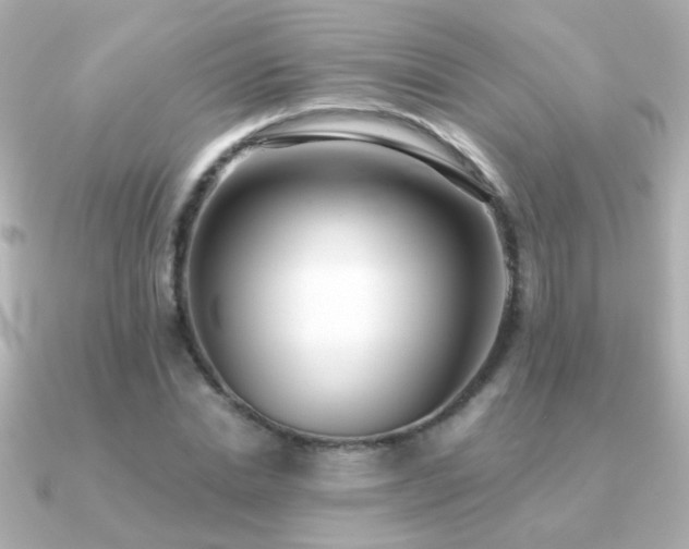 X0000091200830200708091305