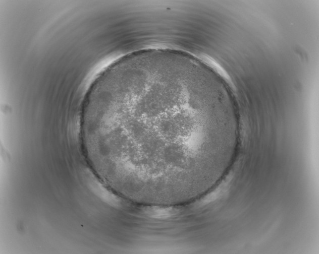 X0000091200831200708091305