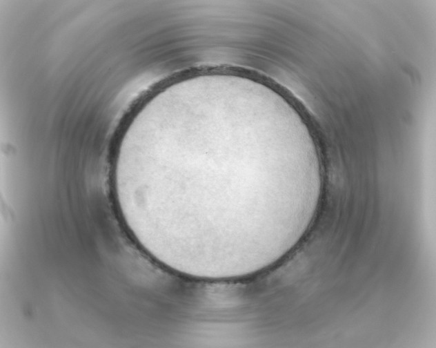 X0000091200832200708091305