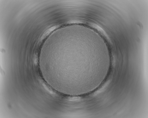 X0000091200833200708091305