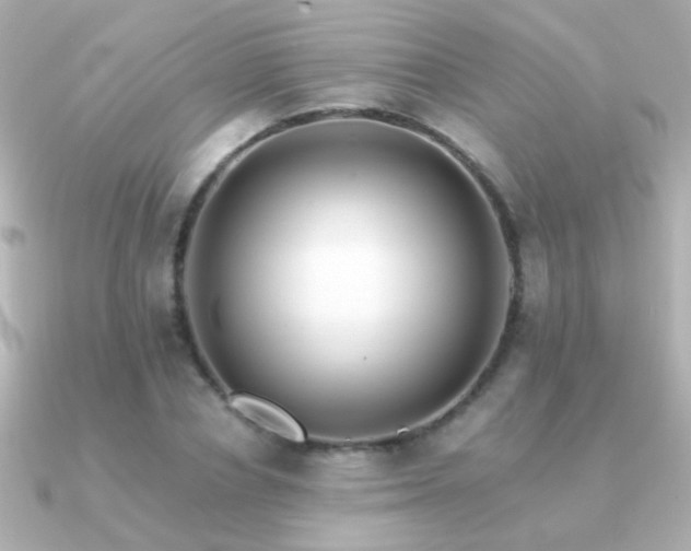X0000091200834200708091305