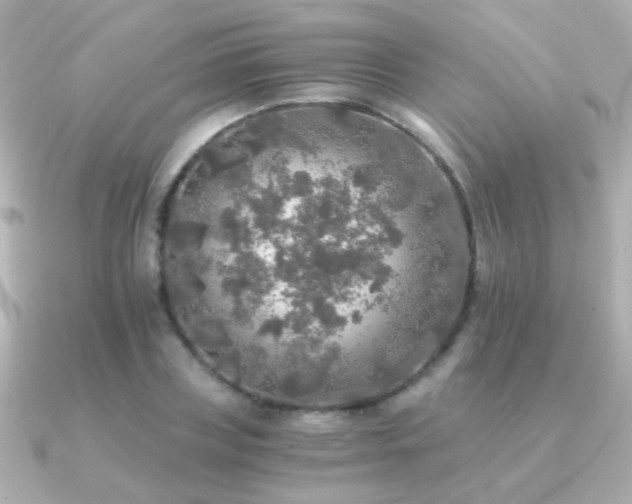 X0000091200835200708091305