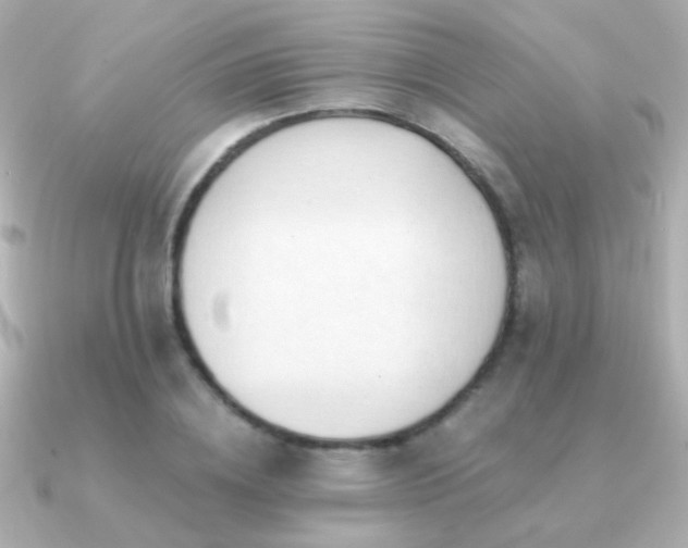 X0000091200836200708091305