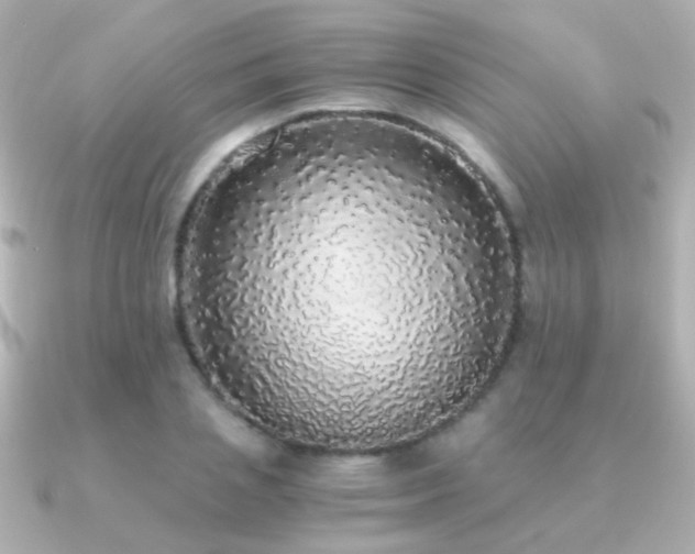 X0000091200837200708091305