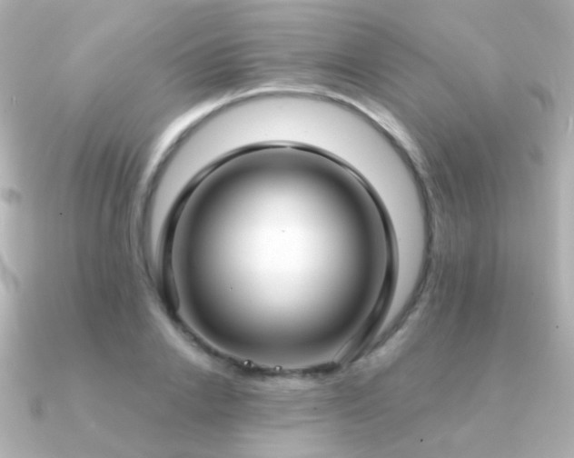 X0000091200838200708091305