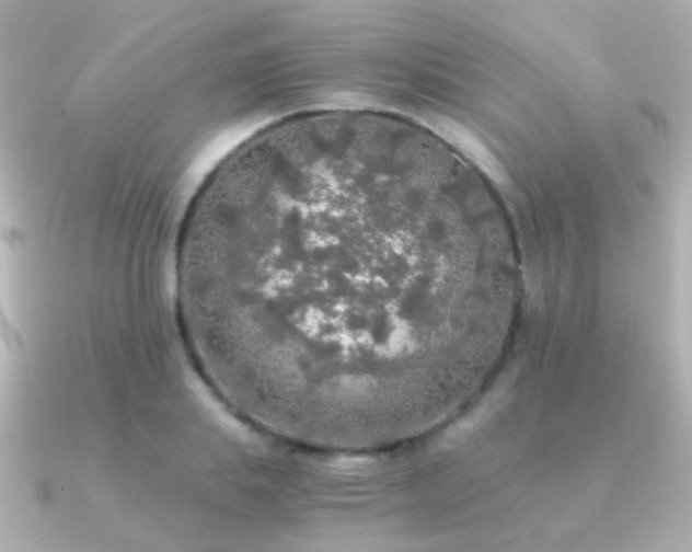 X0000091200839200708091305