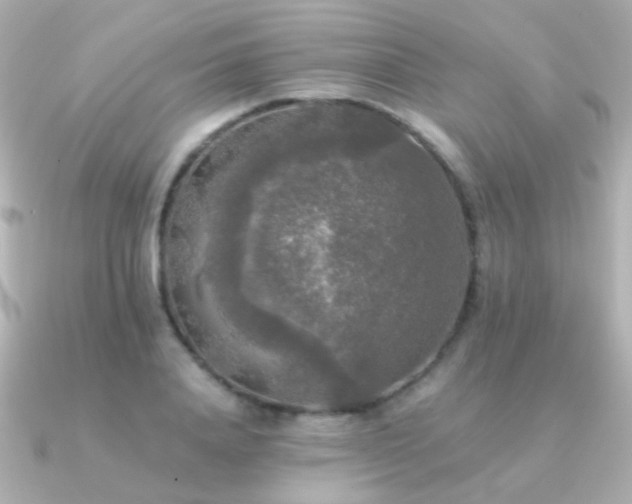 X0000091200840200708091305