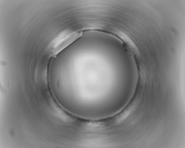 X0000091200842200708091305