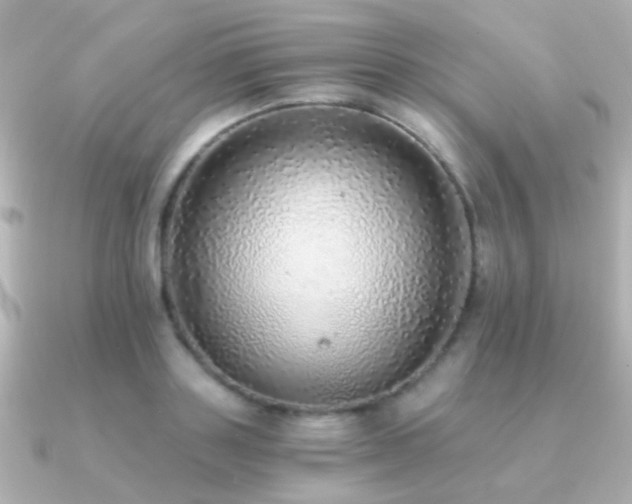 X0000091200843200708091305
