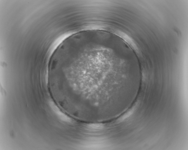 X0000091200844200708091305