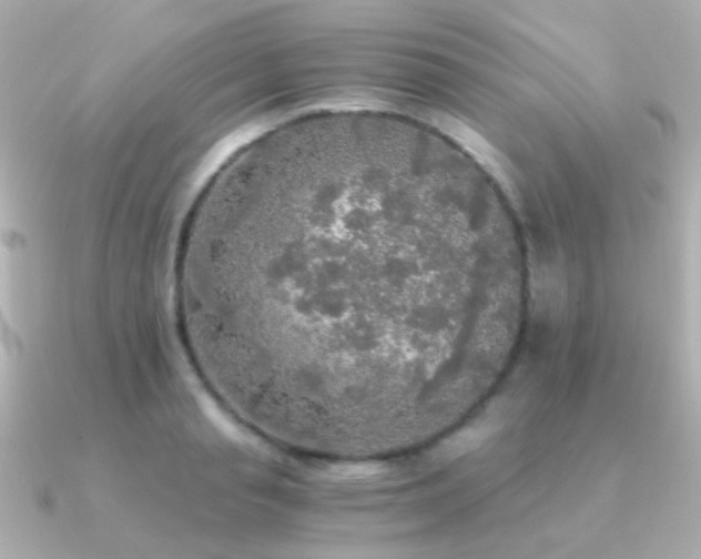 X0000091200845200708091305