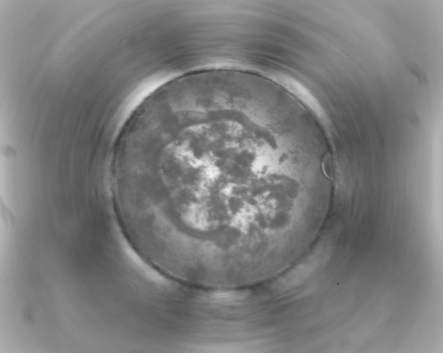 X0000091200847200708091306