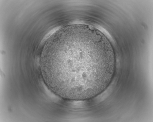X0000091200849200708091306