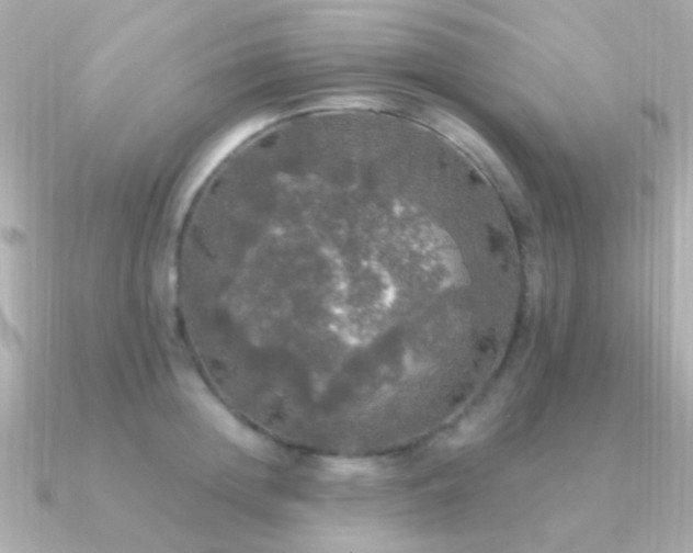 X0000091200852200708091306