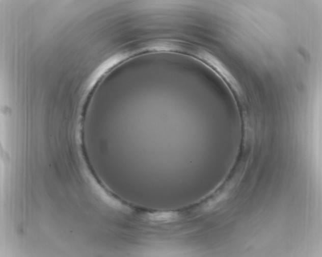 X0000091200853200708091306