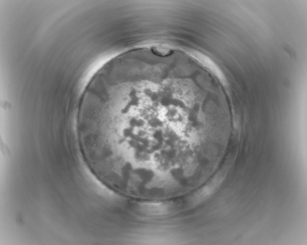 X0000091200855200708091306