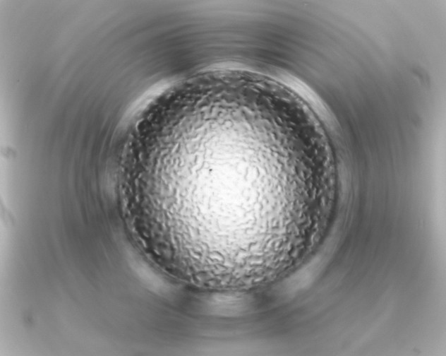 X0000091200857200708091306