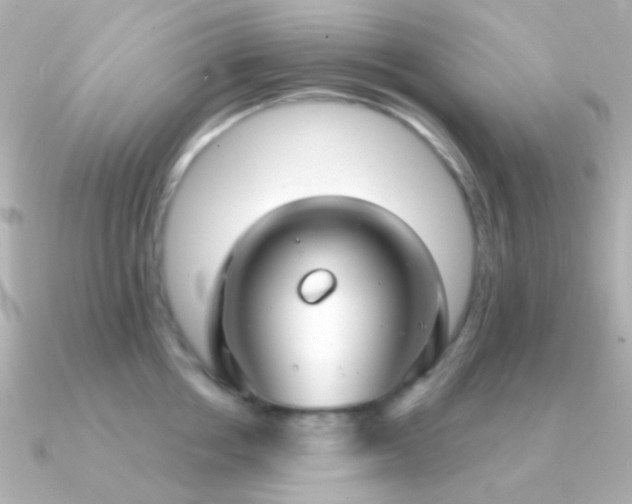 X0000091200858200708091306