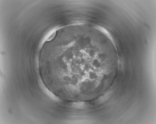 X0000091200859200708091306