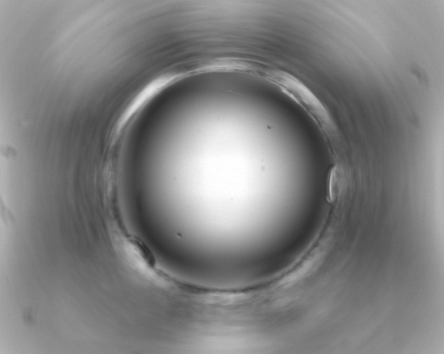 X0000091200860200708091306