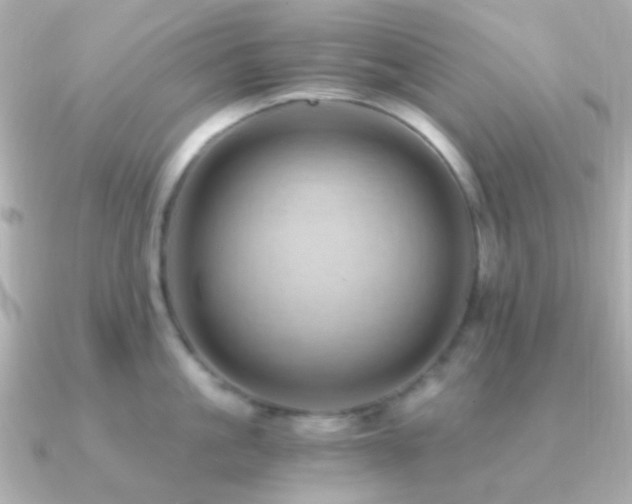 X0000091200861200708091306