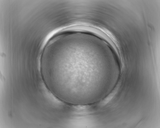 X0000091200862200708091306