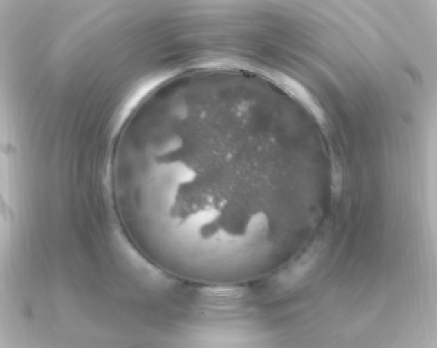 X0000091200863200708091306