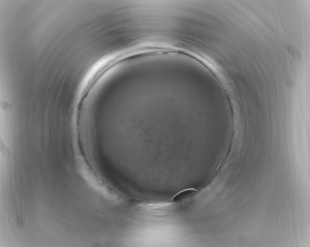 X0000091200864200708091306