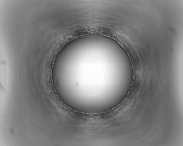 X0000091200865200708091305