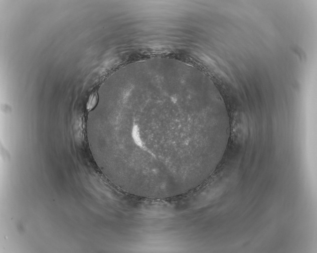X0000091200866200708091305