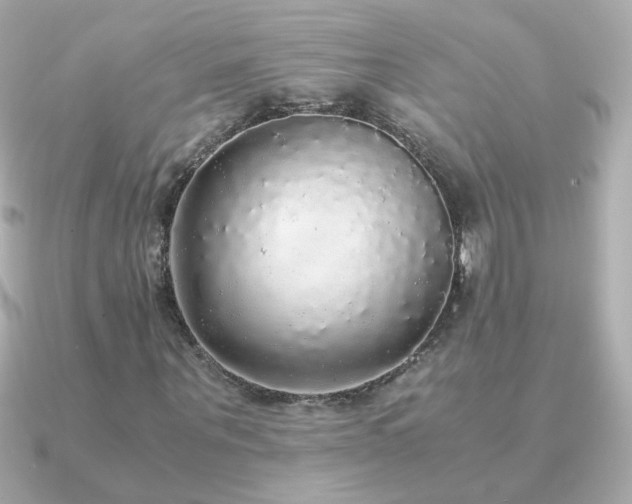 X0000091200867200708091305