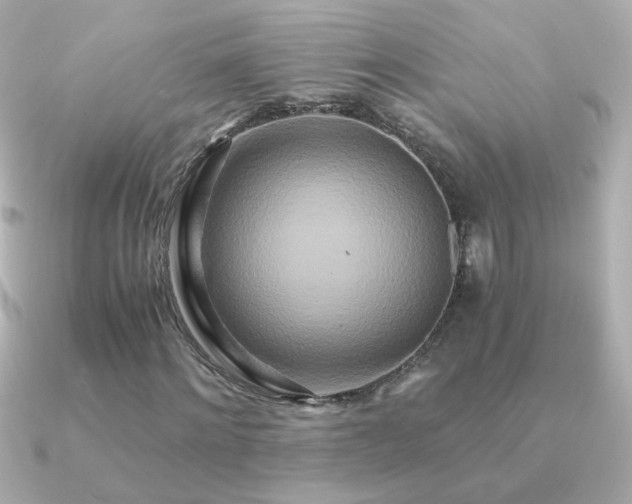 X0000091200868200708091305
