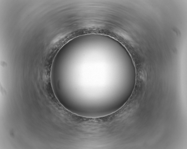 X0000091200869200708091305