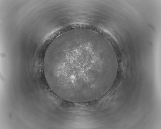 X0000091200870200708091305