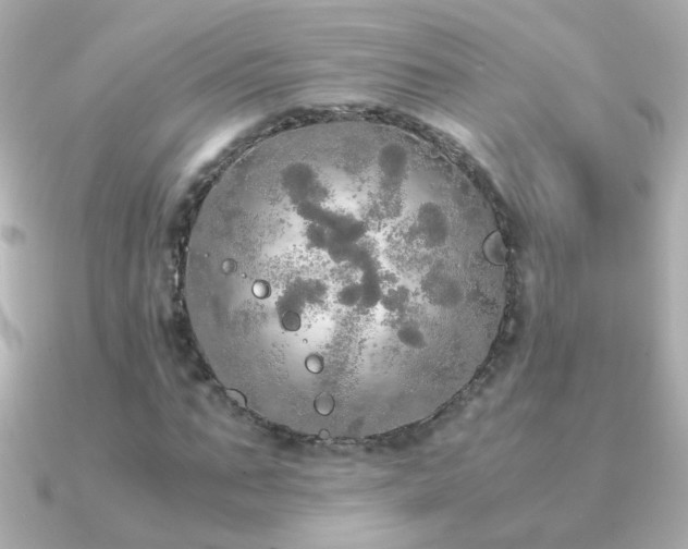 X0000091200871200708091305