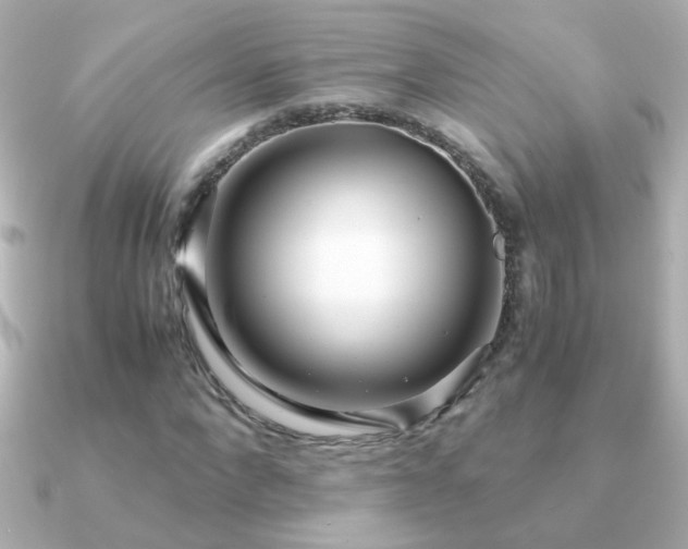 X0000091200872200708091305