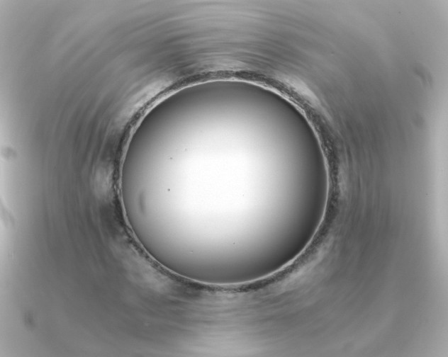 X0000091200873200708091305