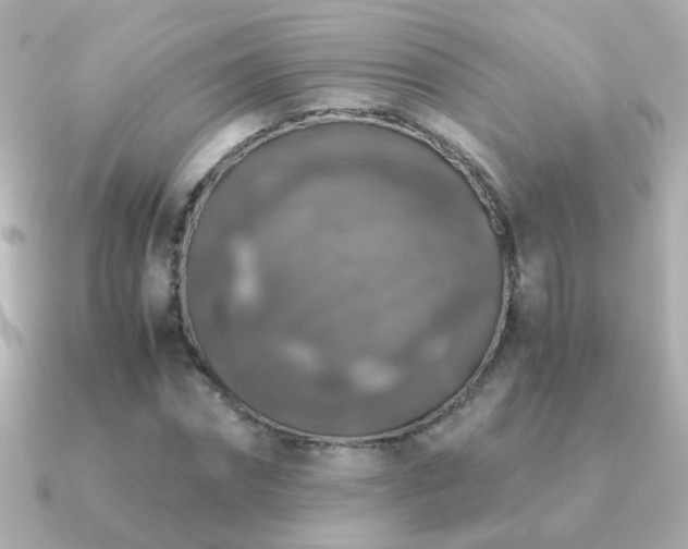 X0000091200874200708091305