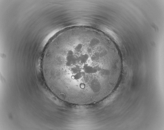 X0000091200875200708091305
