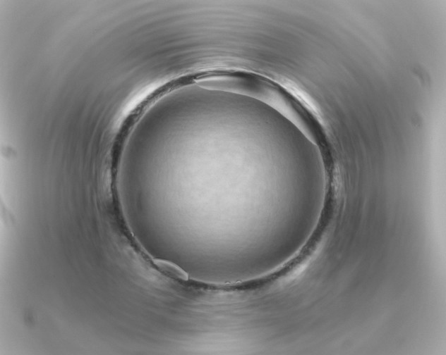 X0000091200877200708091305