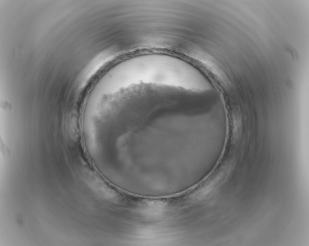 X0000091200878200708091305